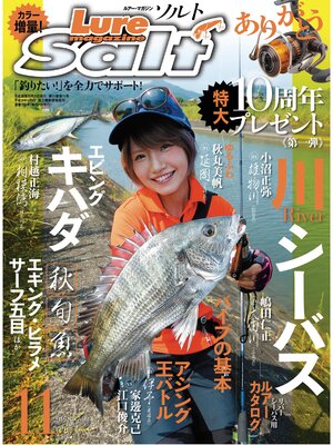 cover image of ルアーマガジンソルト2016年11月号